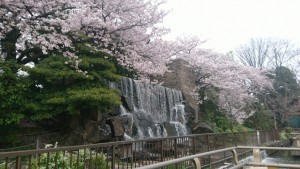 水元公園に行って来ました！