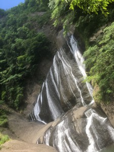 IMG_3509