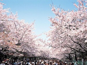 4月に入りましたね